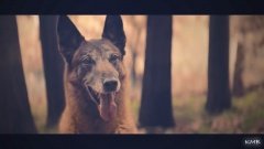 El nu te va părăsi niciodată