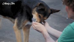 Bunătatea este întotdeauna gratuită