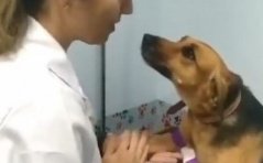 Acesta este unul dintre cele mai pure momente care s-au văzut vreodată