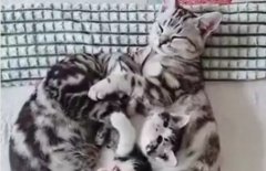 O iubire sinceră de copil