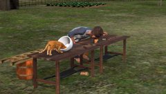 Merge un borș după o petrecere - Urecheatu