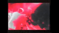 Fancy - Flames Of Love - 1988