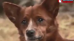 Viața bate filmul !